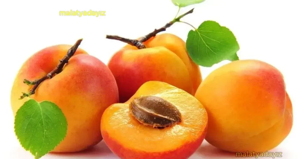 Kayısının Faydaları Nelerdir ? Nelere iyi gelir ?