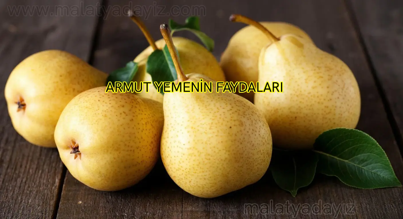 AKÇADAĞ ARMUDUNUN ÖZELLİKLERİ