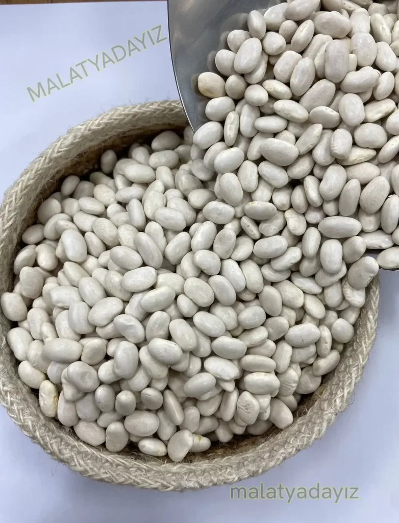 DOĞANŞEHİR FASULYESİNİN ÖZELLİKLERİ DOĞANŞEHİR FASULYESİNİN ÖZELLİKLERİ