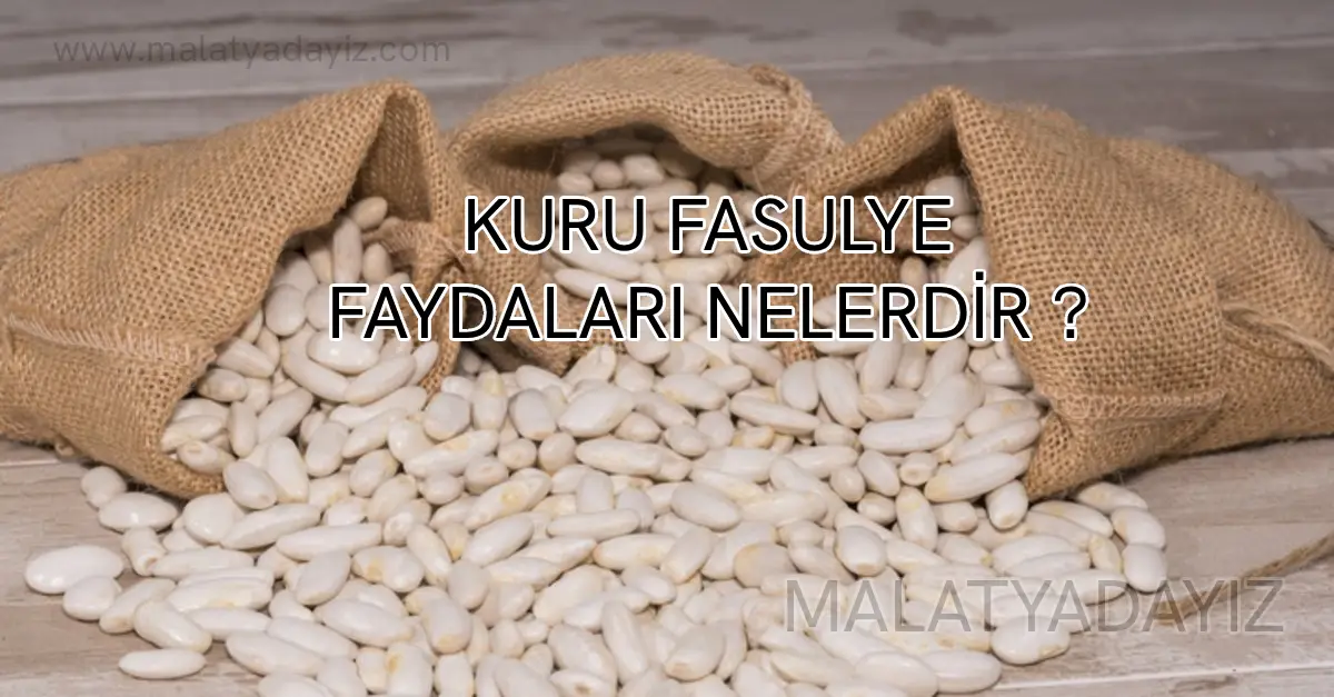 DOĞANŞEHİR FASULYESİNİN ÖZELLİKLERİ