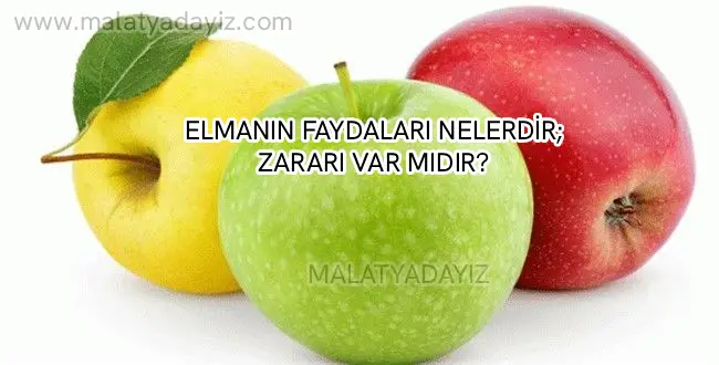 ELMANIN FAYDALARI NELERDİR;ZARARI VAR MIDIR?